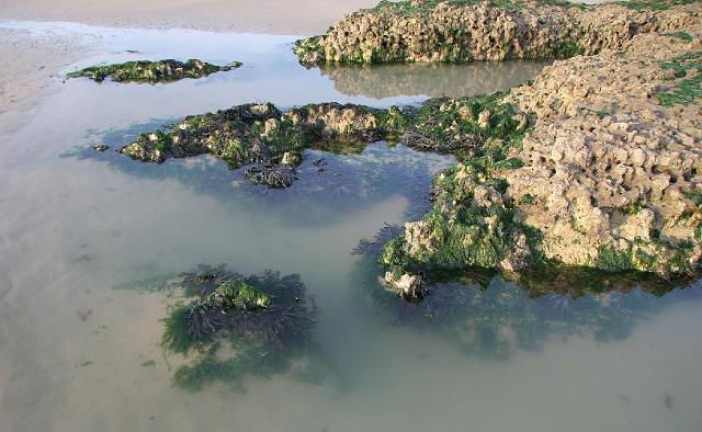 564 Pourville sur mer.JPG